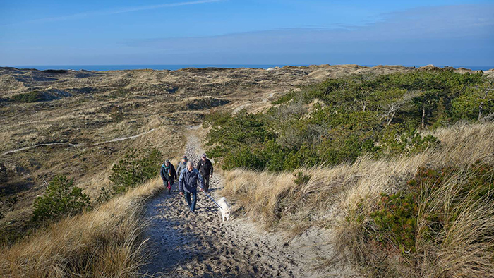 Billede viser klitlandskab